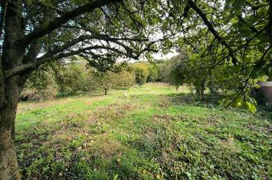Terrain  81000 €