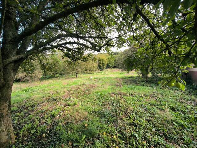 Terrain constructible de 1463 m2 dans un cadre verdoyant — photo du bien