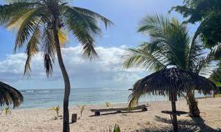 Appartement 1 Pièce 20 m² à vendre à Saint-François (97118)