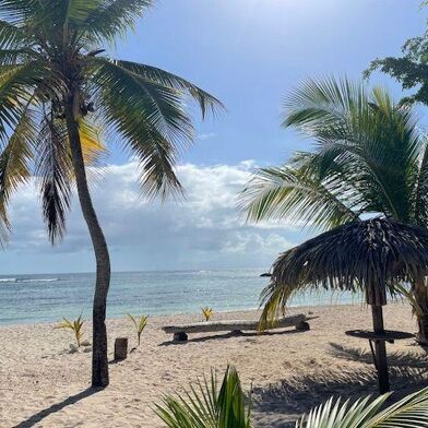 Appartement 1 pièces 140000 €