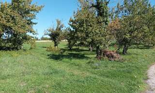 Terrain  1628 m² à vendre à Saint-Vincent-Rive-d'Olt (46140)