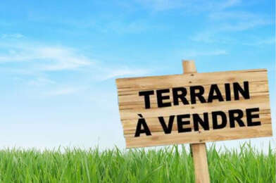Terrain  67290 €