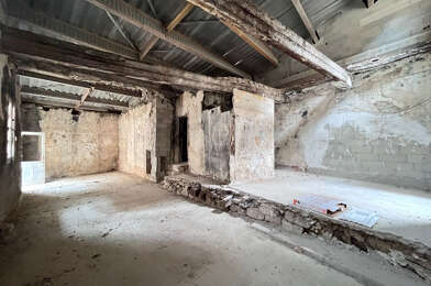 Local industriel 1 pièces 45000 €