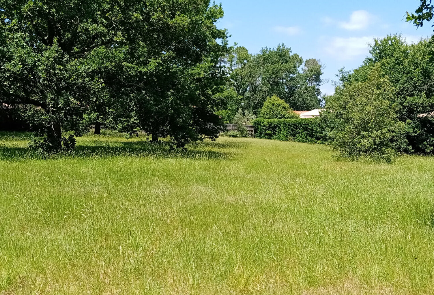 TERRAIN à bâtir à Lège — photo 1