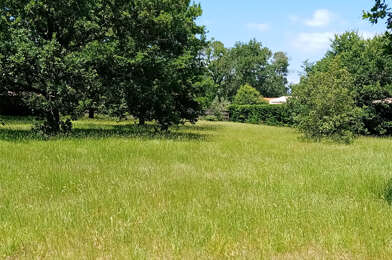 Terrain  239000 €