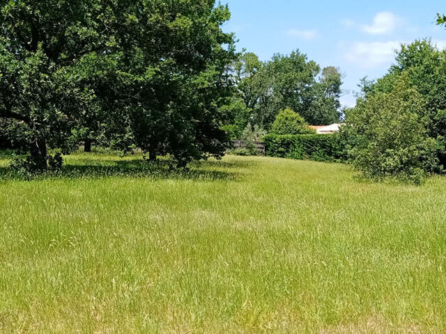 TERRAIN à bâtir à Lège — photo du bien