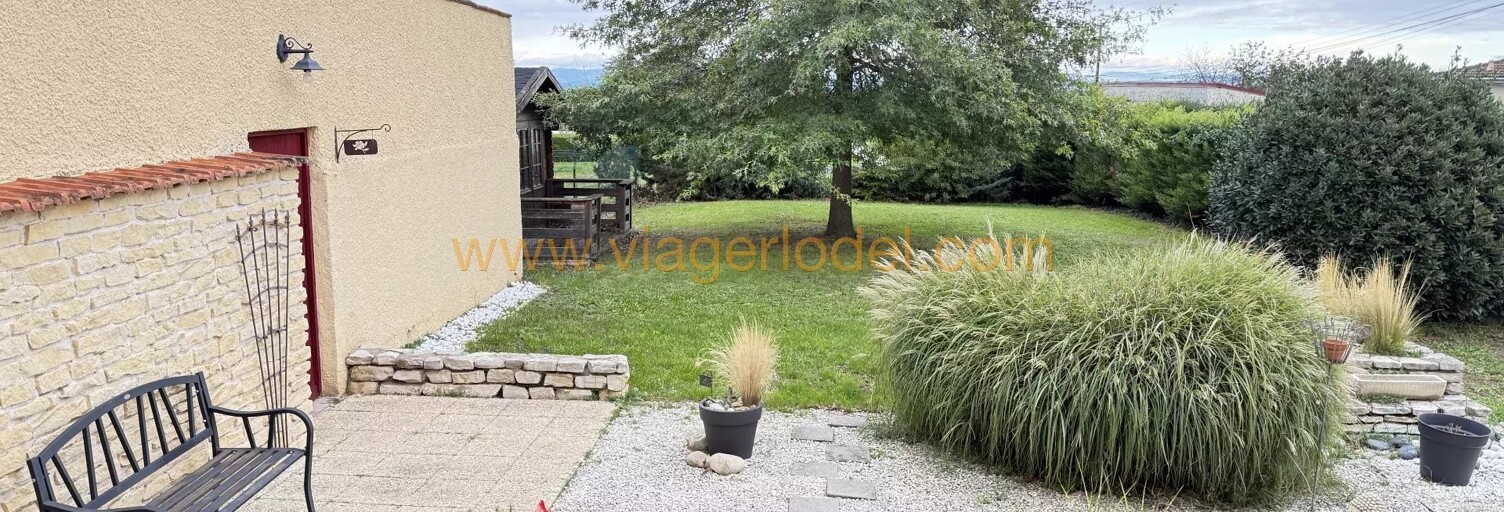 Maison 175 m² en viager Saint-André-d'Apchon (42370)