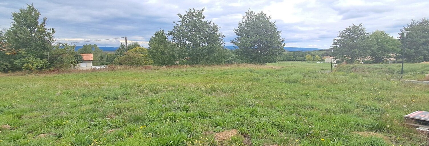 Terrain  790 m² à vendre à Labruguière (81290)