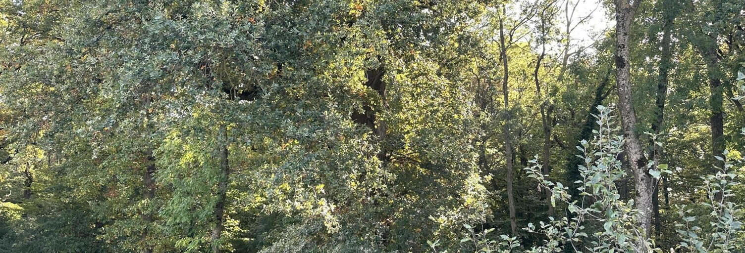 Appartement 2 Pièces 43 m² à vendre à Sainte-Geneviève-des-Bois (91700)