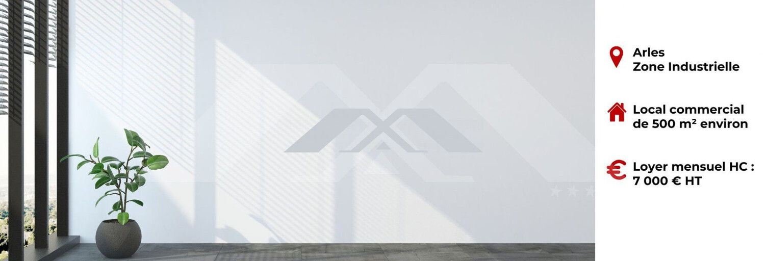 Immeuble  500 m² à vendre à Arles (13200)