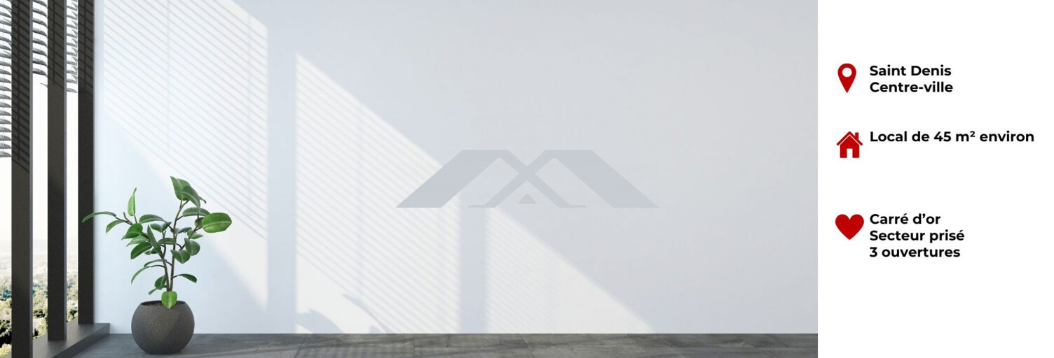 Divers  45 m² à vendre à Saint-Denis (97400)