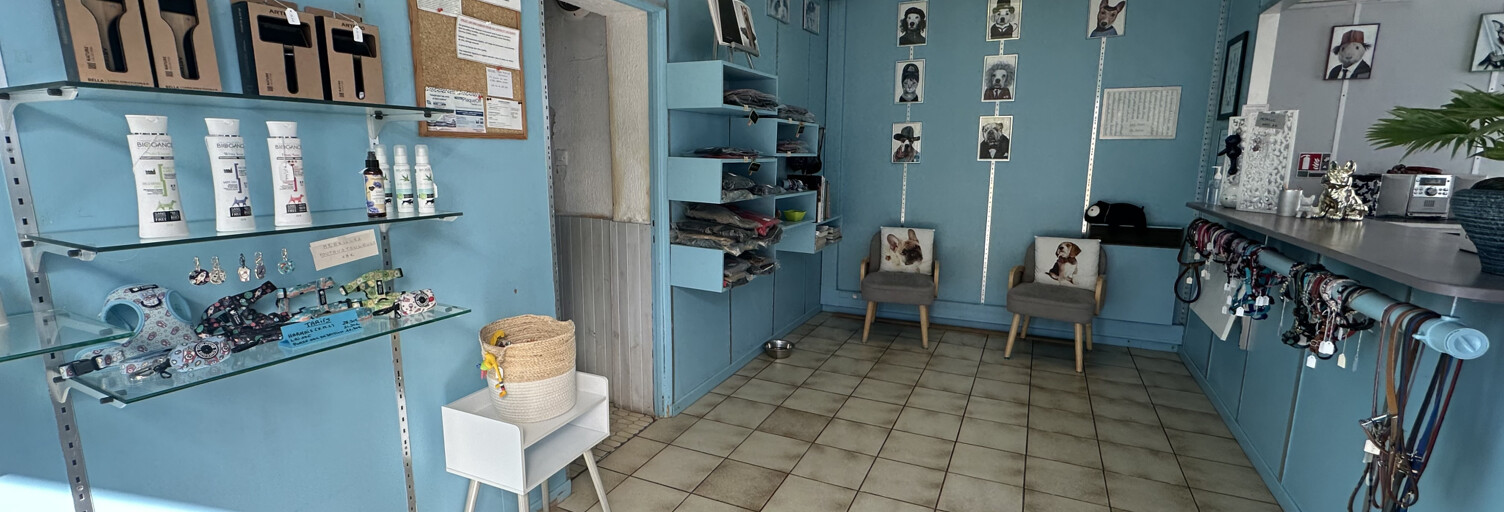 Commerce  33 m² à louer à Blagnac (31700)