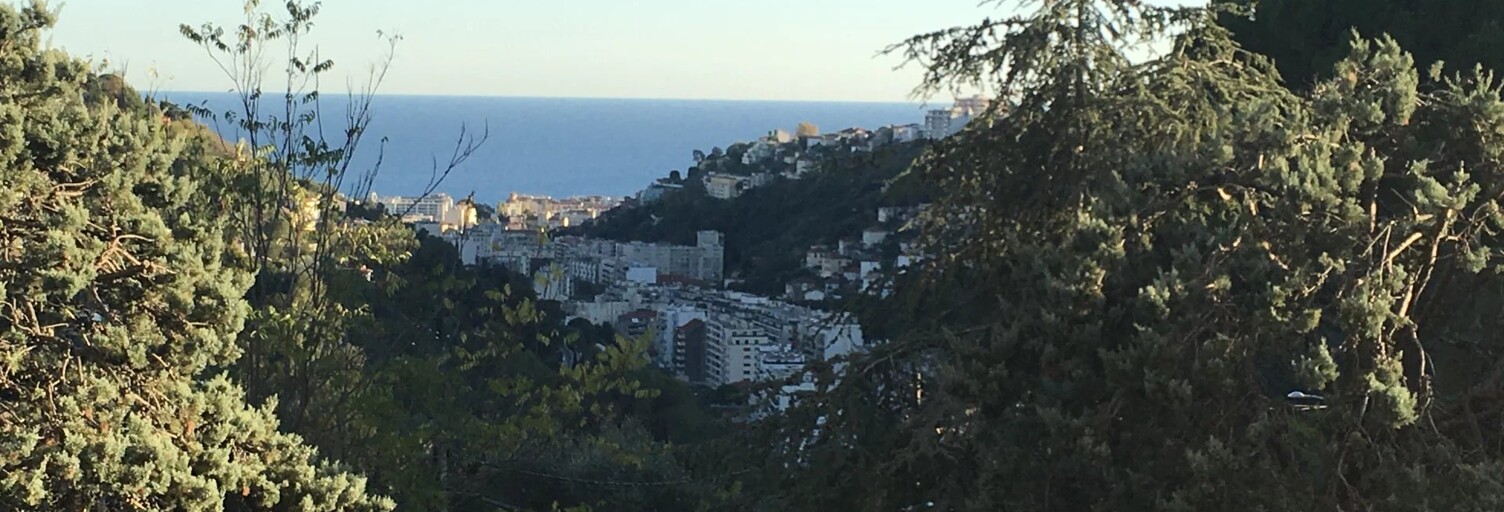 Appartement 2 Pièces 49 m² à louer à Nice (06000)