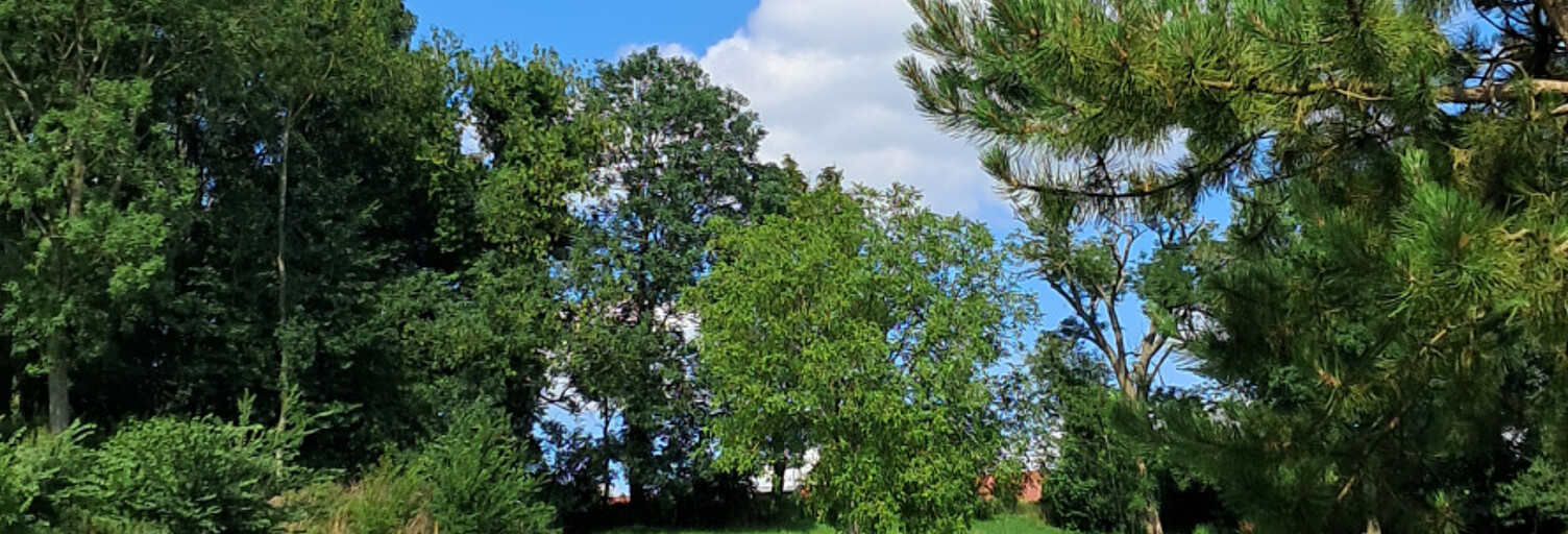 Terrain  8274 m² à vendre à Saint-Michel-sur-Ternoise (62130)