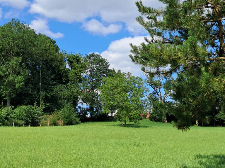 Terrain de 8274 m2 Secteur Saint Pol sur Ternoise — photo 1