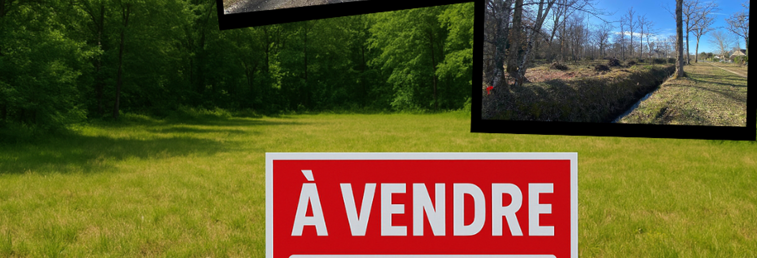 Terrain  2927 m² à vendre à Nançay (18330)