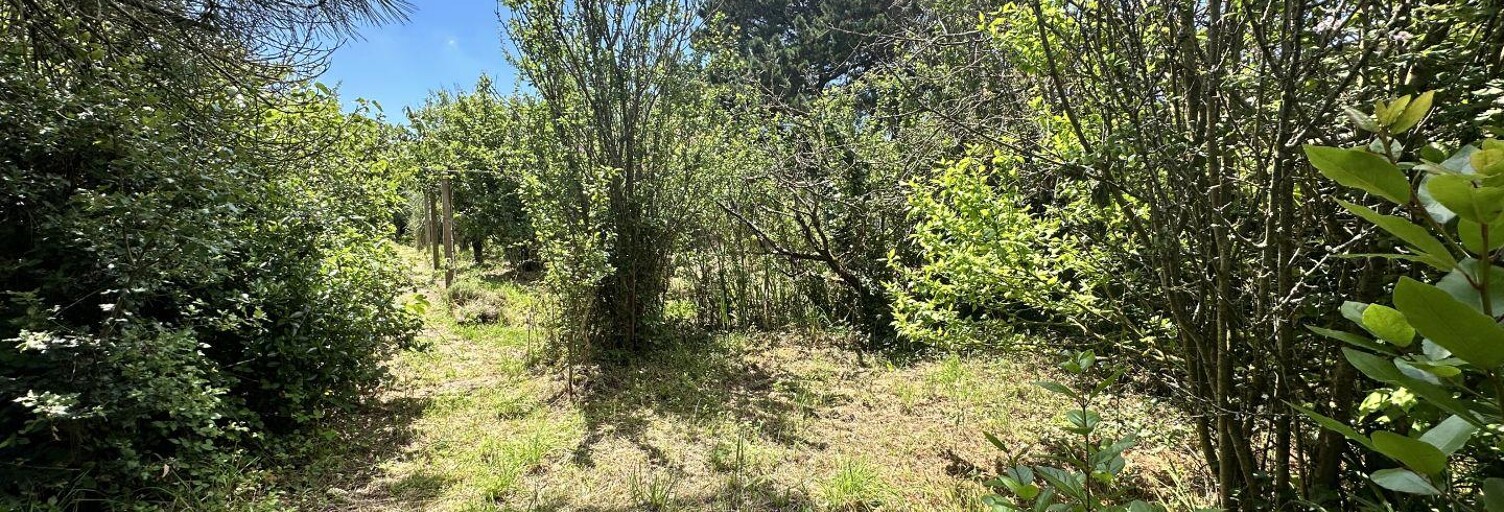 Maison 5 Pièces 148 m² à vendre à Les Sables-d'Olonne (85100)