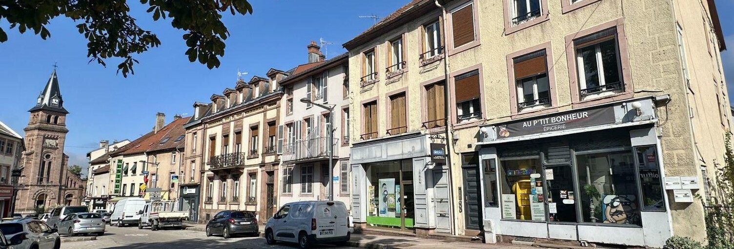 Commerce  90 m² à vendre à Saint-Dié-des-Vosges (88100)