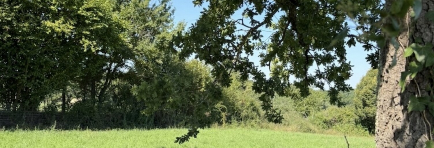 Terrain  2933 m² à vendre à Villeneuve-de-Rivière (31800)