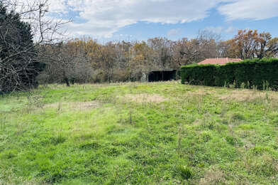 Terrain  350000 €