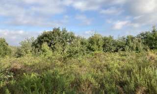 Terrain  17620 m² à vendre à Villelongue-dels-Monts (66740)