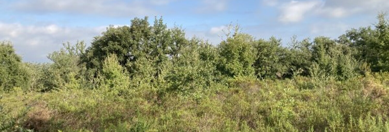 Terrain  17620 m² à vendre à Villelongue-dels-Monts (66740)