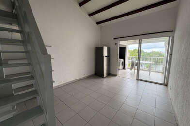 Appartement 1 pièces 990 €