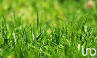 Terrain  877 m² à vendre à Saint-Magne-de-Castillon (33350)