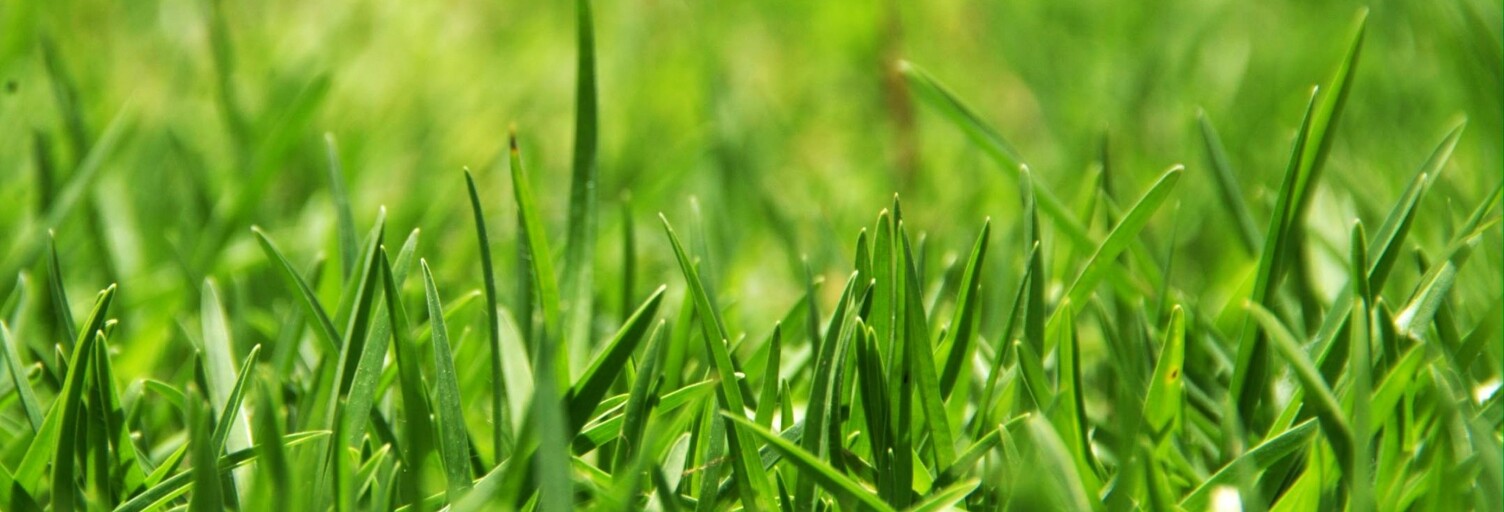 Terrain  877 m² à vendre à Saint-Magne-de-Castillon (33350)