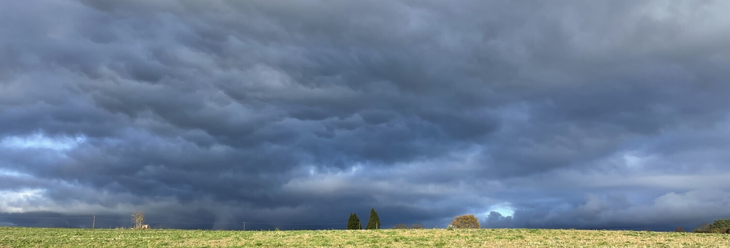 Terrain  51524 m² à vendre à Neuvic-Entier (87130)