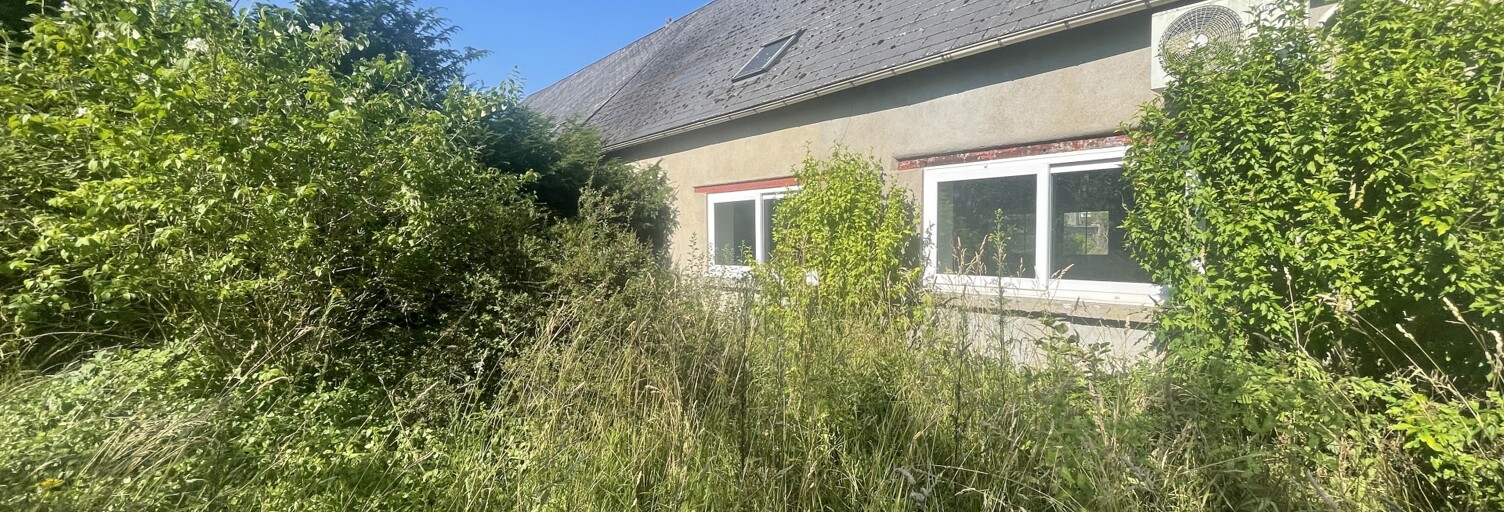 Maison 1 Pièce 252 m² à vendre à Chevilly (45520)