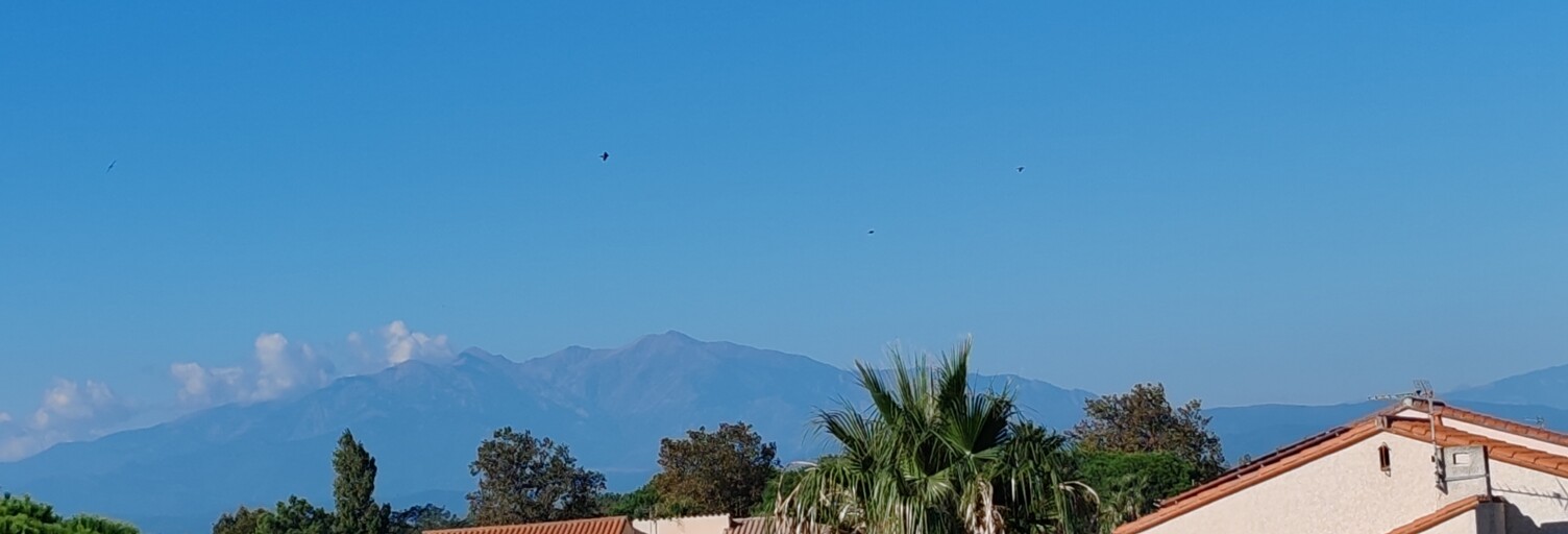 Appartement 1 Pièce 16 m² à vendre à Saint-Cyprien (66750)