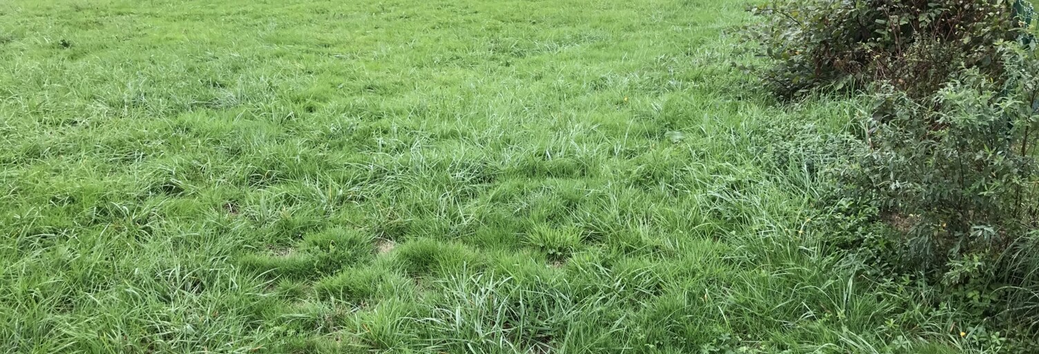 Terrain  1074 m² à vendre à Ladevèze-Rivière (32230)