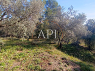 Jolie maison de 130 m2 sur 2800 m2 de terrain à Seillans — photo 4