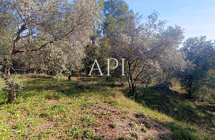 Jolie maison de 130 m2 sur 2800 m2 de terrain à Seillans — photo 4