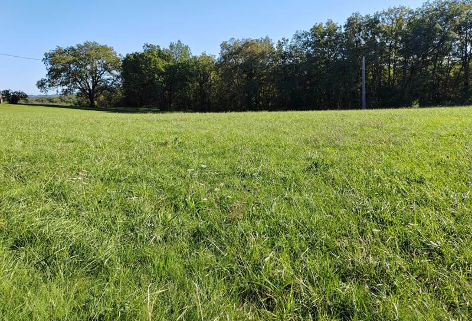 Terrain à bâtir de 0 pièces principales — photo 1