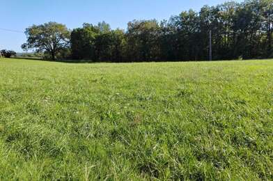 Terrain  25000 €