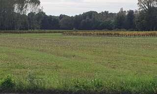 Terrain  540 m² à vendre à Saint-Savin (33920)