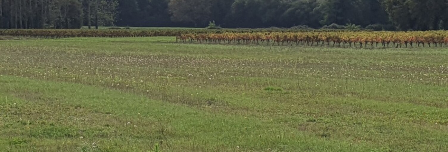 Terrain  540 m² à vendre à Saint-Savin (33920)