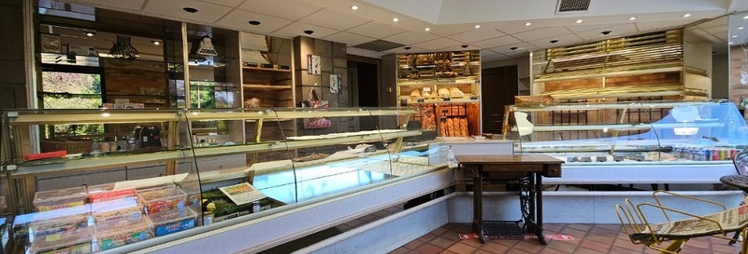 Immeuble  516 m² à vendre à Sierck-les-Bains (57480)