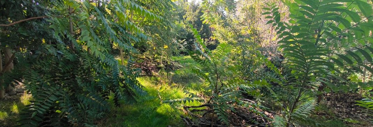 Terrain   m² à vendre à Nîmes (30000)