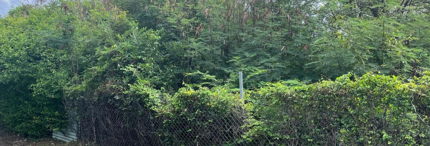 Terrain  584 m² à vendre à Bouillante (97125)