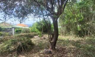 Terrain  584 m² à vendre à Bouillante (97125)