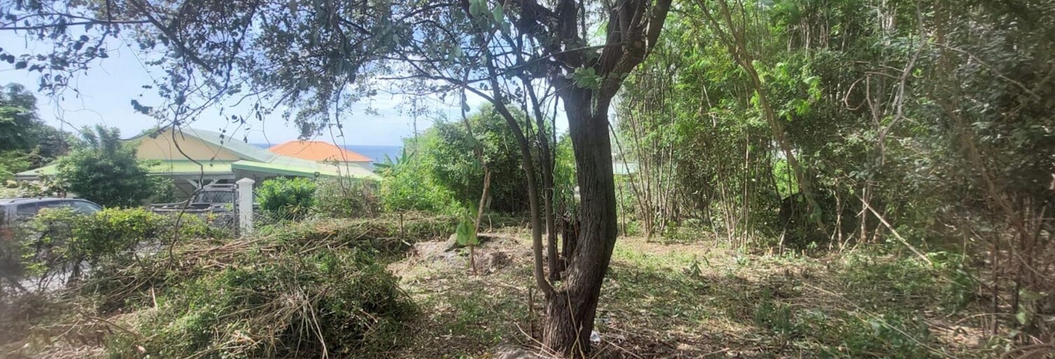 Terrain  584 m² à vendre à Bouillante (97125)