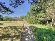 Villa d'Architecte avec Vue Mer et Dunes   Un Bien Rare à l' — photo 3