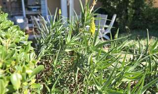 Appartement 2 Pièces 34 m² à vendre à Sainte-Maxime (83120)