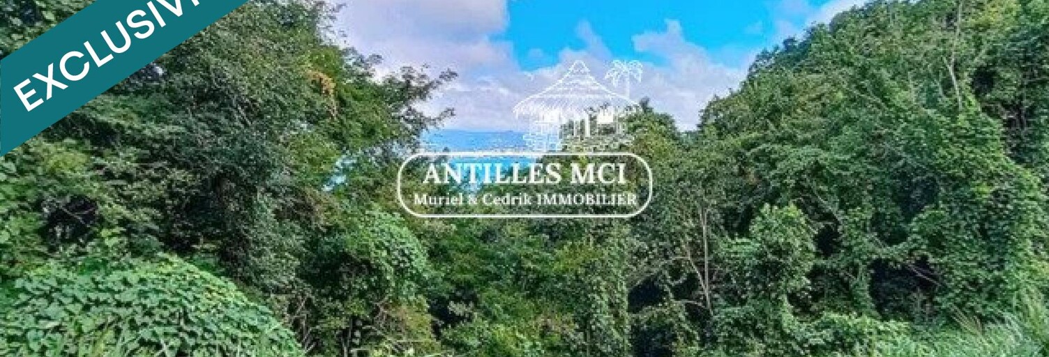 Terrain  30000 m² à vendre à Les Anses-d'Arlet (97217)