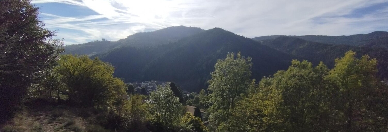 Terrain  8045 m² à vendre à Saint-Martin-de-Valamas (07310)