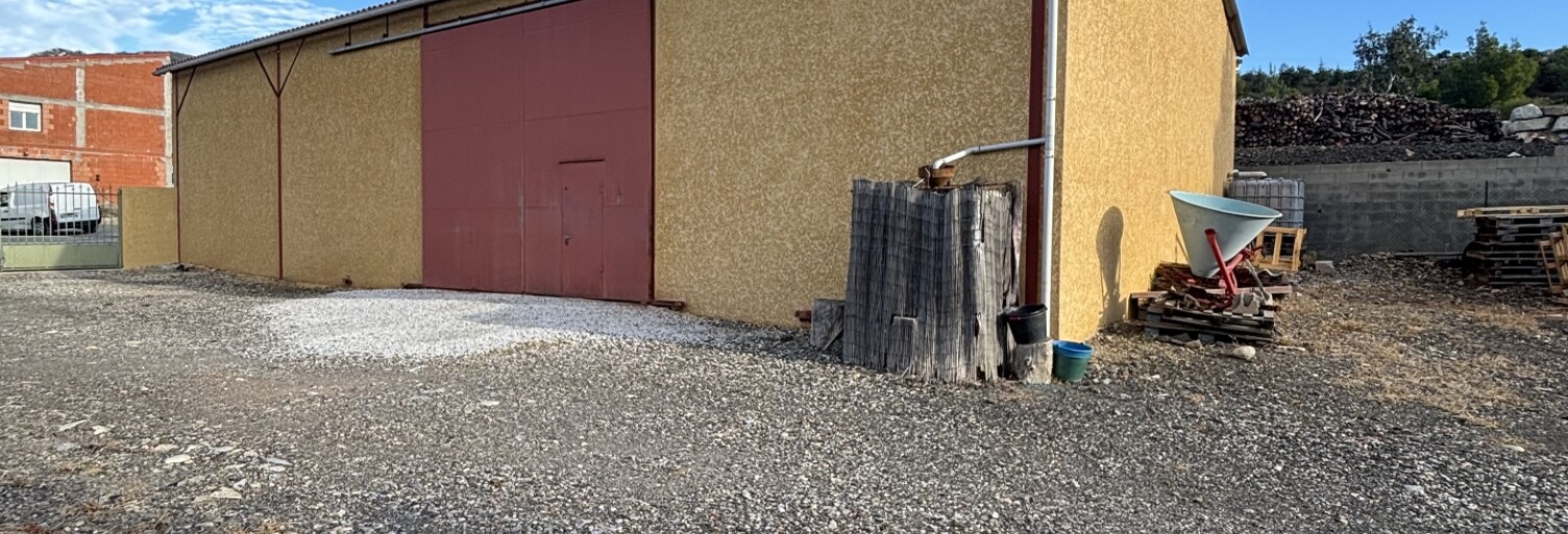 Appartement 1 Pièce 220 m² à vendre à Maury (66460)