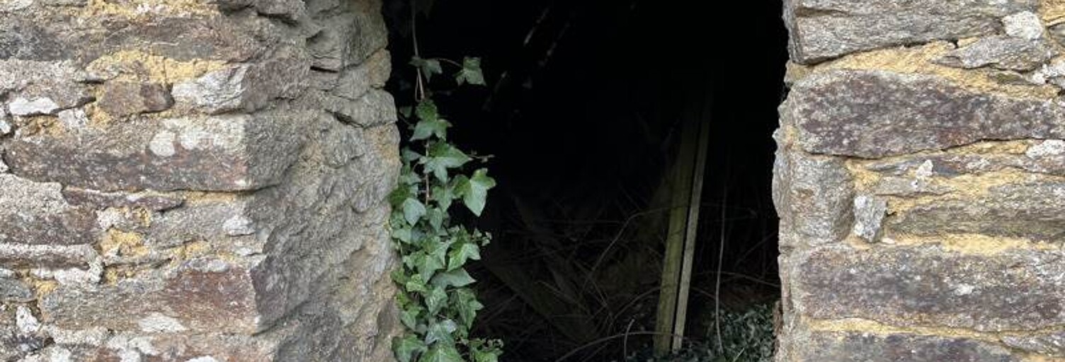 Maison 1 Pièce 45 m² à vendre à Saint-Sauveur (29400)